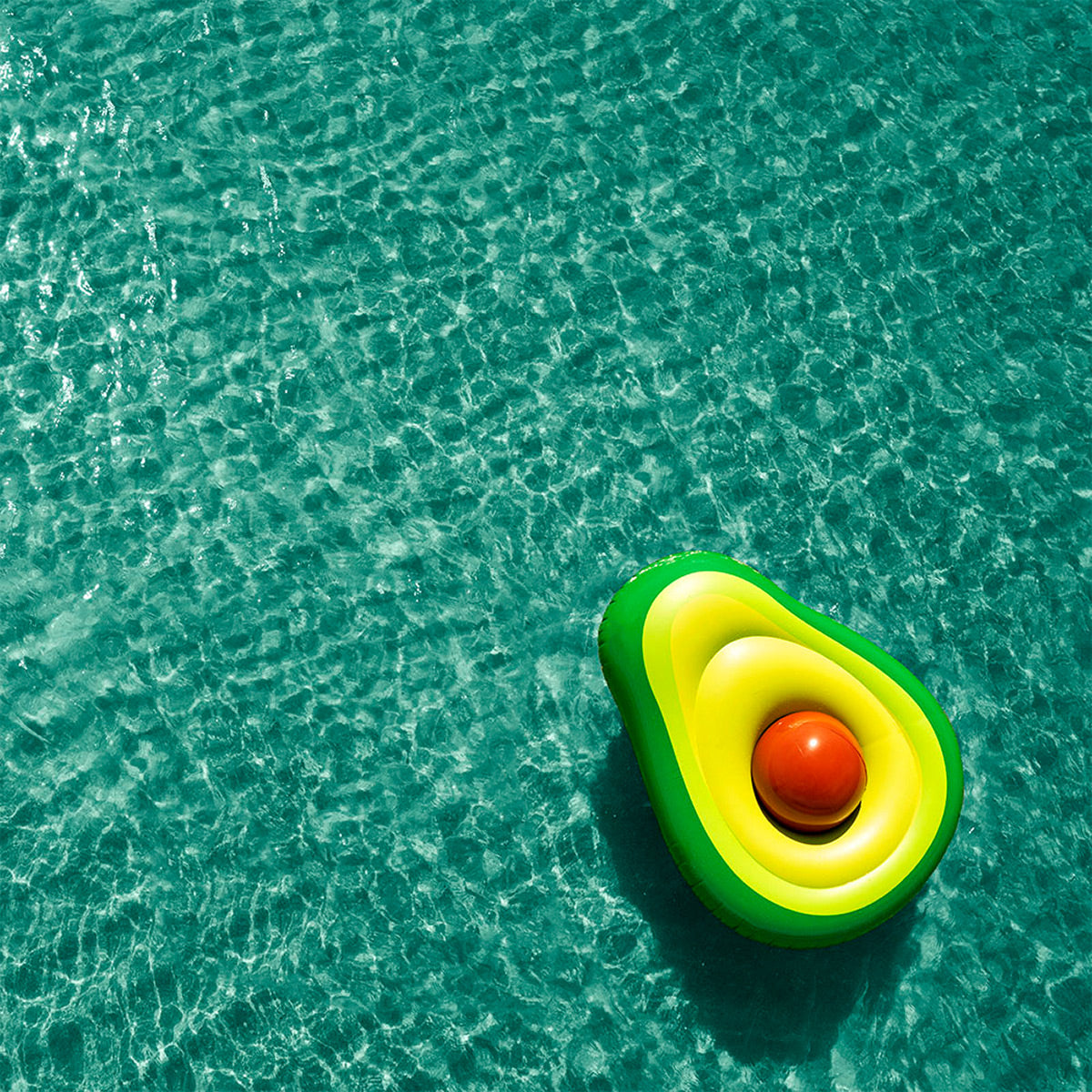 Avocado - Pool Float Series