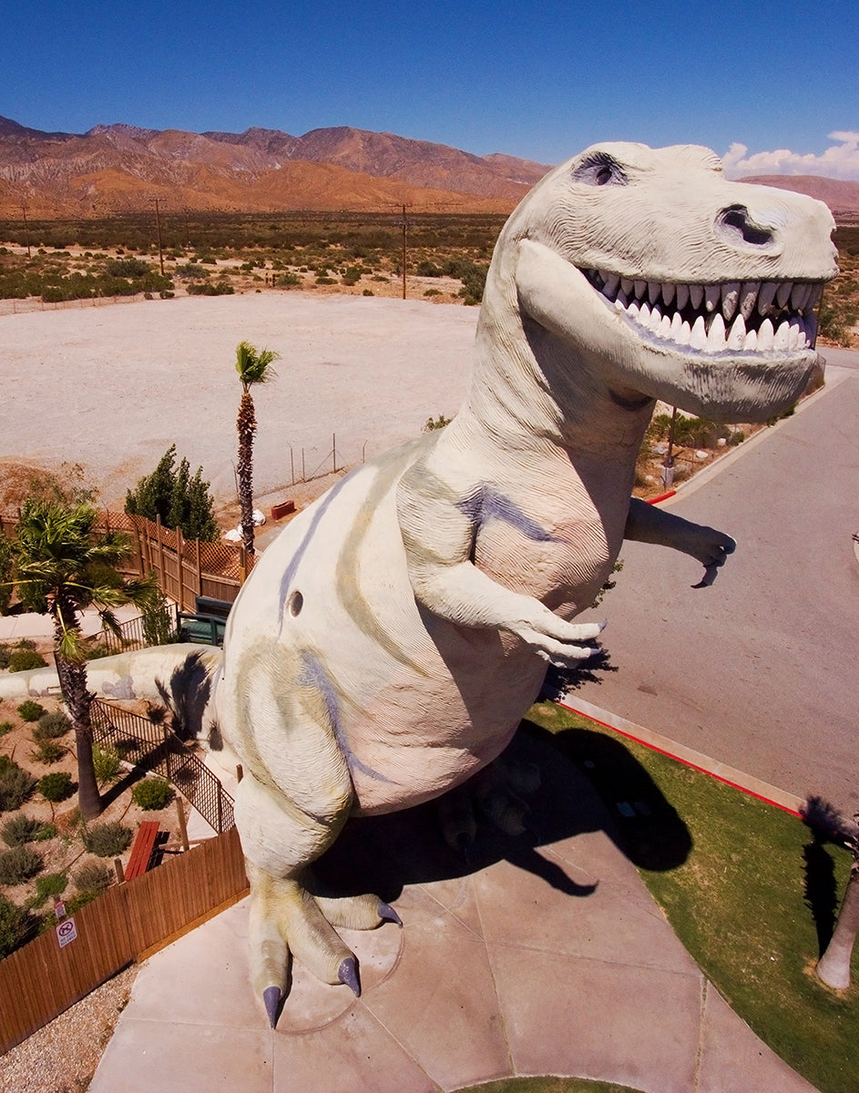 Aerial photograph of a T-Rex statue in Cabazon, CA desert landscape by Evan Reinheimer.