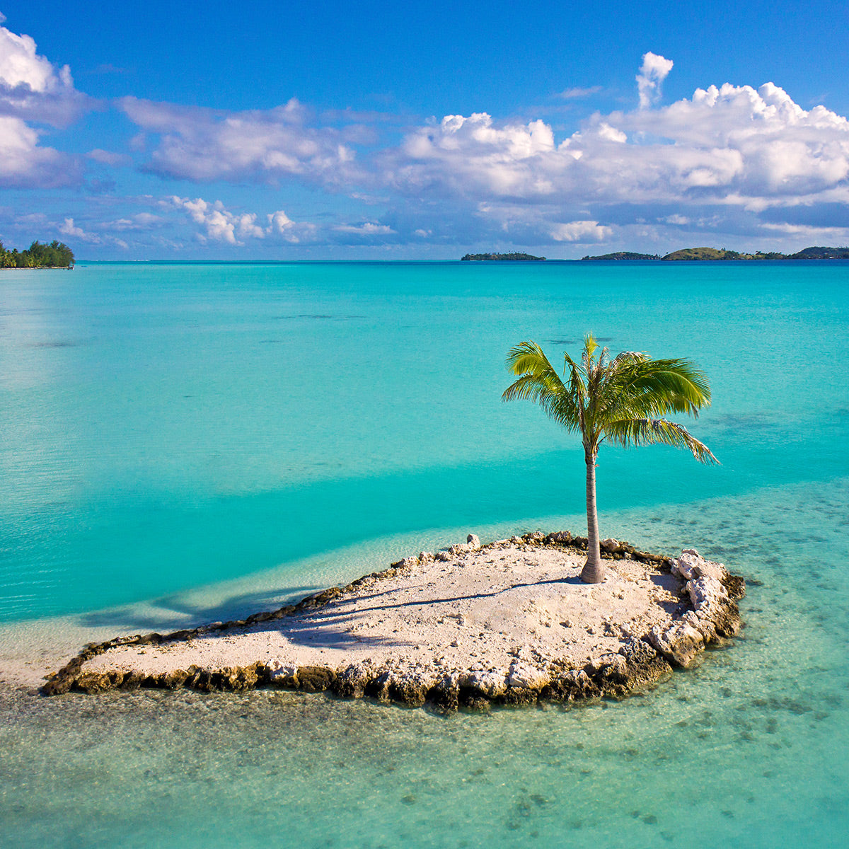 Palm Tree Island - Bora Bora, French Polynesia