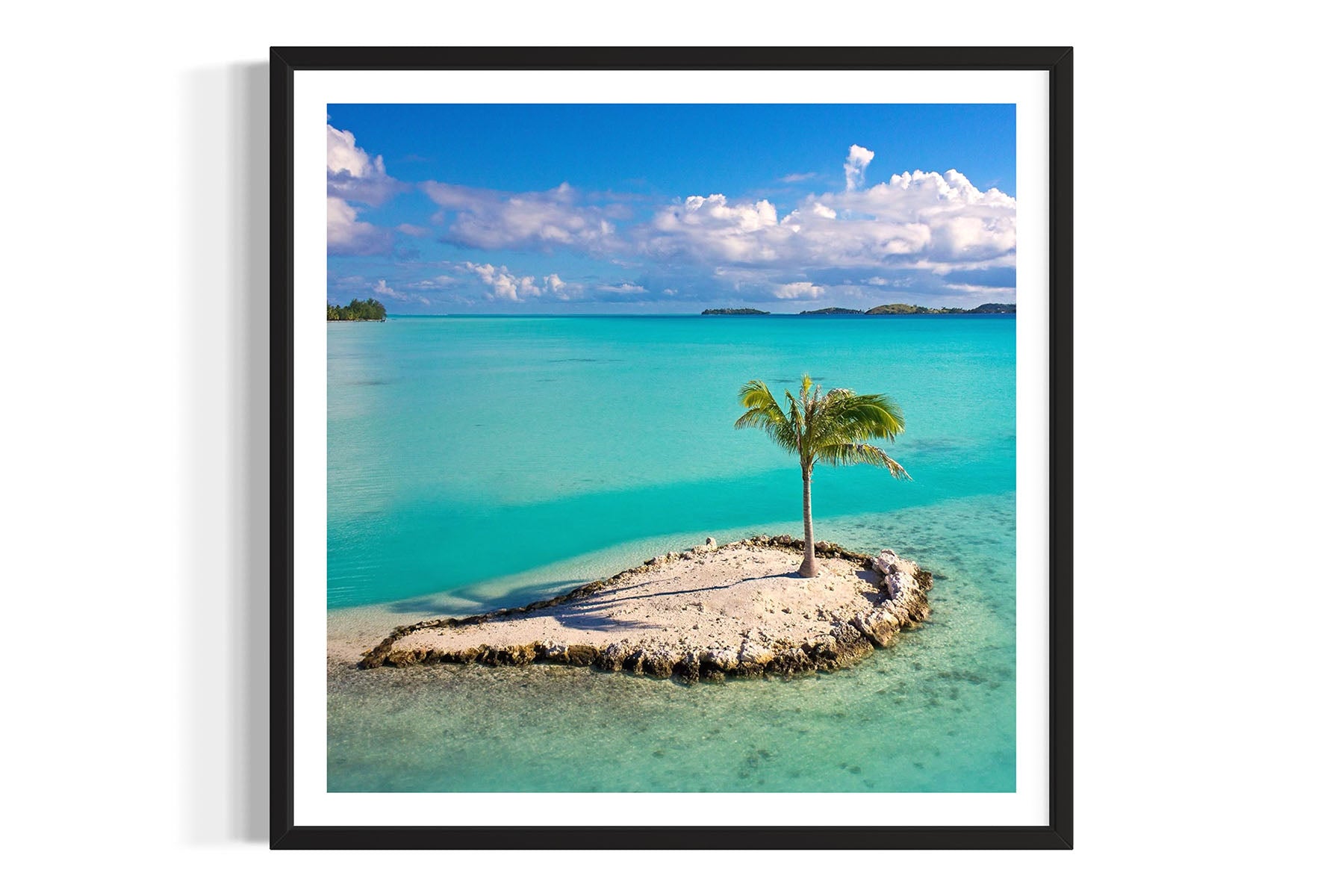 Palm Tree Island - Bora Bora, French Polynesia