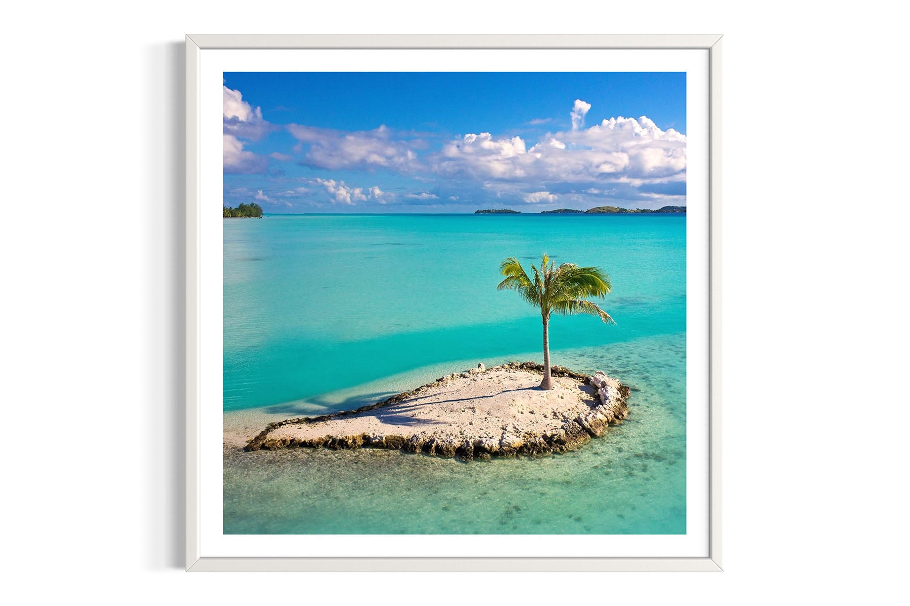 Palm Tree Island - Bora Bora, French Polynesia